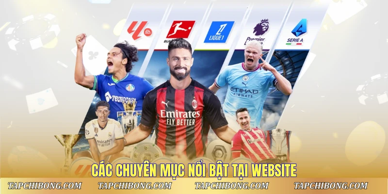 Các chuyên mục nổi bật tại website