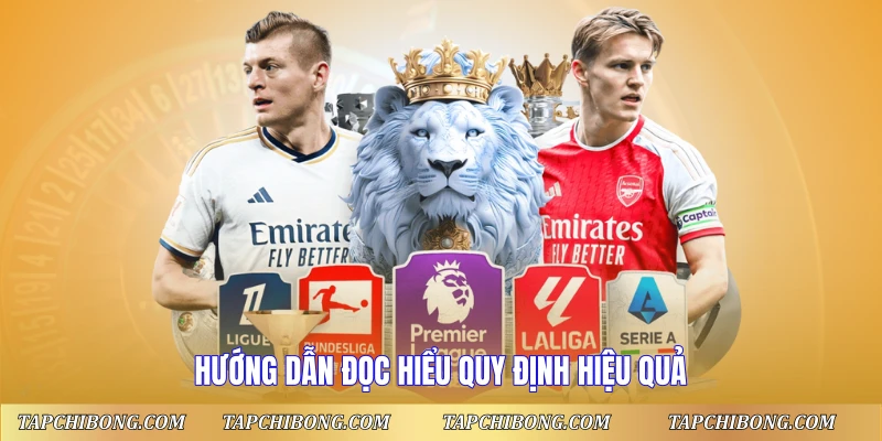 Hướng dẫn đọc hiểu quy định hiệu quả