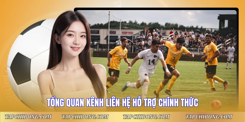 Hướng Dẫn Liên Hệ Hỗ Trợ Nhanh Chóng Tại Tapchibong 1 Tổng quan kênh Liên hệ hỗ trợ chính thức